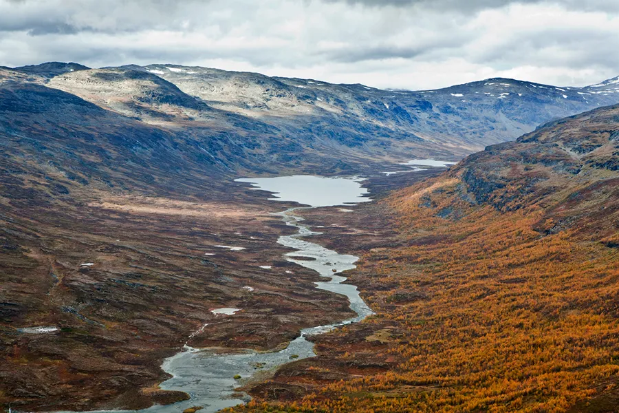 Klicka för att förstora