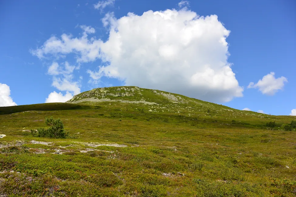 Klicka för att förstora