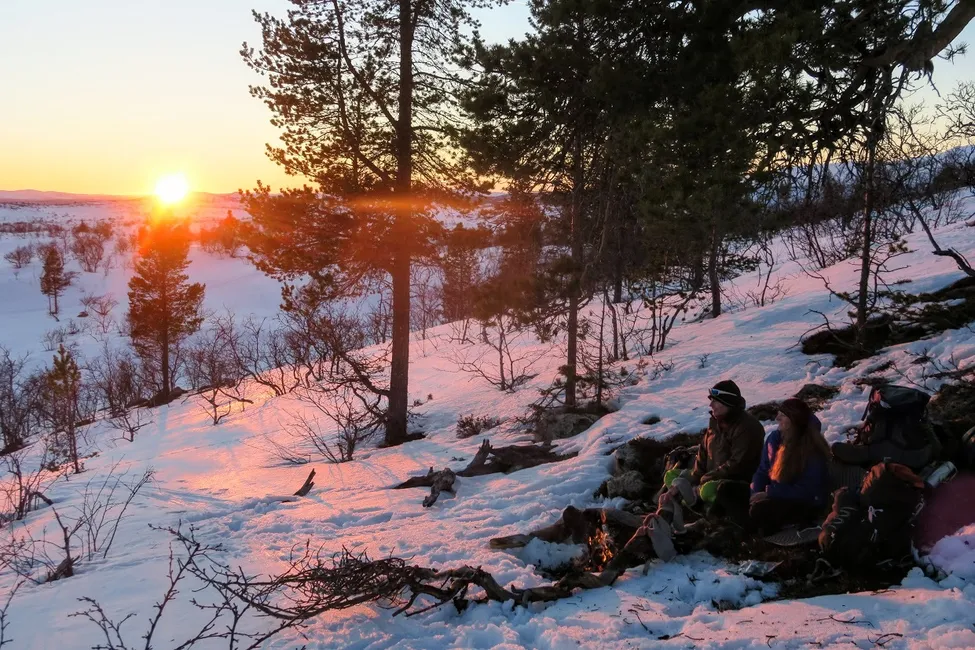 Klicka för att förstora