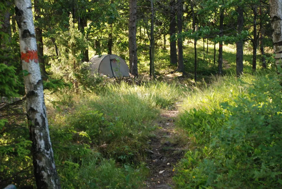 Klicka för att förstora
