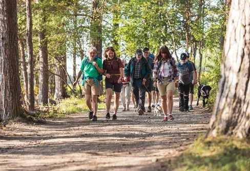 Snart dags för vandringens dag – så här kan du fira!