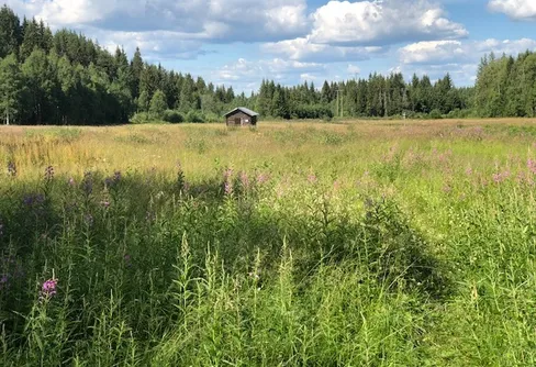 Upplev naturen på hemmaplan