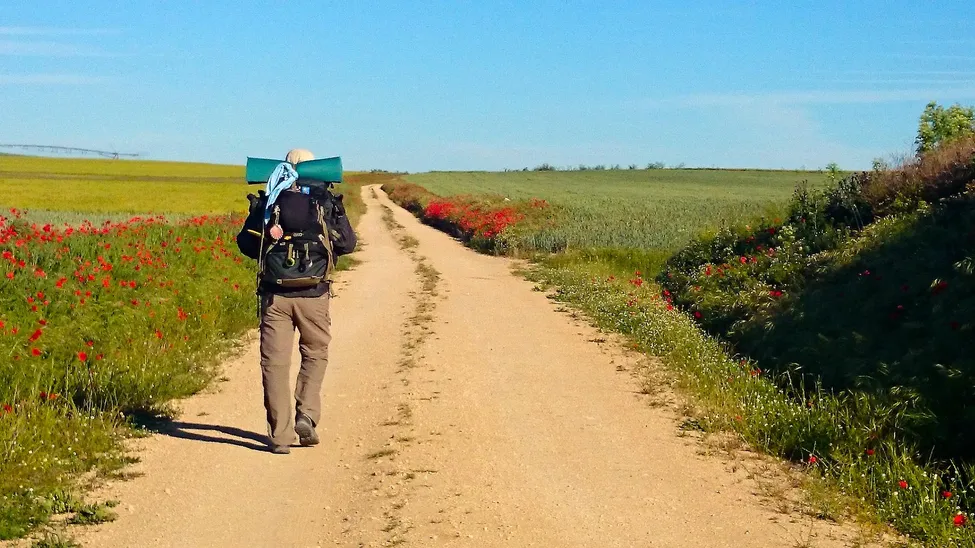 Klicka för att förstora