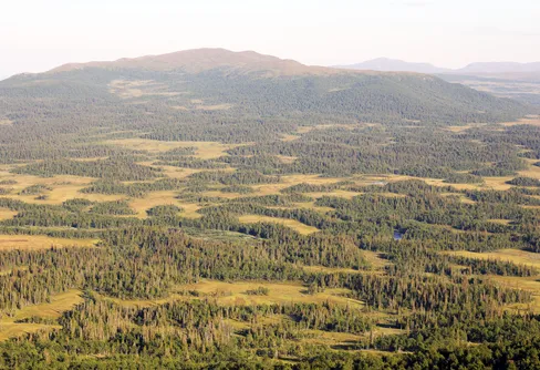 Nytt fjällreservat i Västerbotten