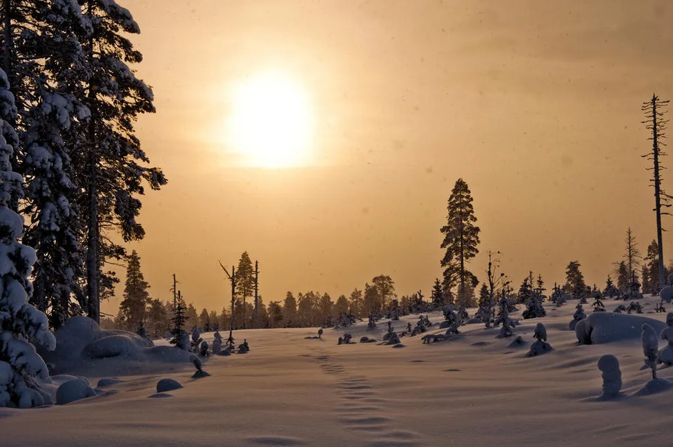 Klicka för att förstora