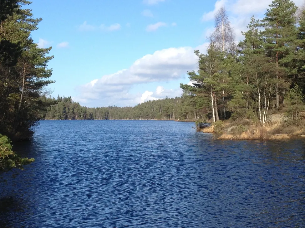 Klicka för att förstora