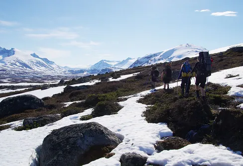Sarek juni 2015 - en första rapport