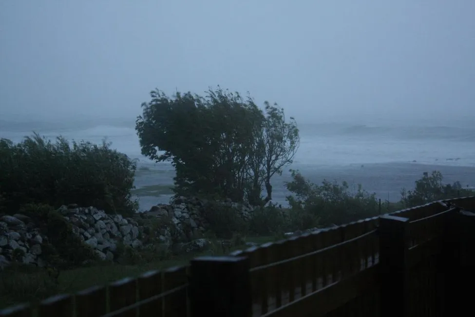 Klicka för att förstora