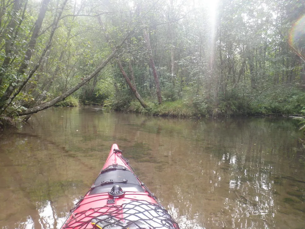 Klicka för att förstora