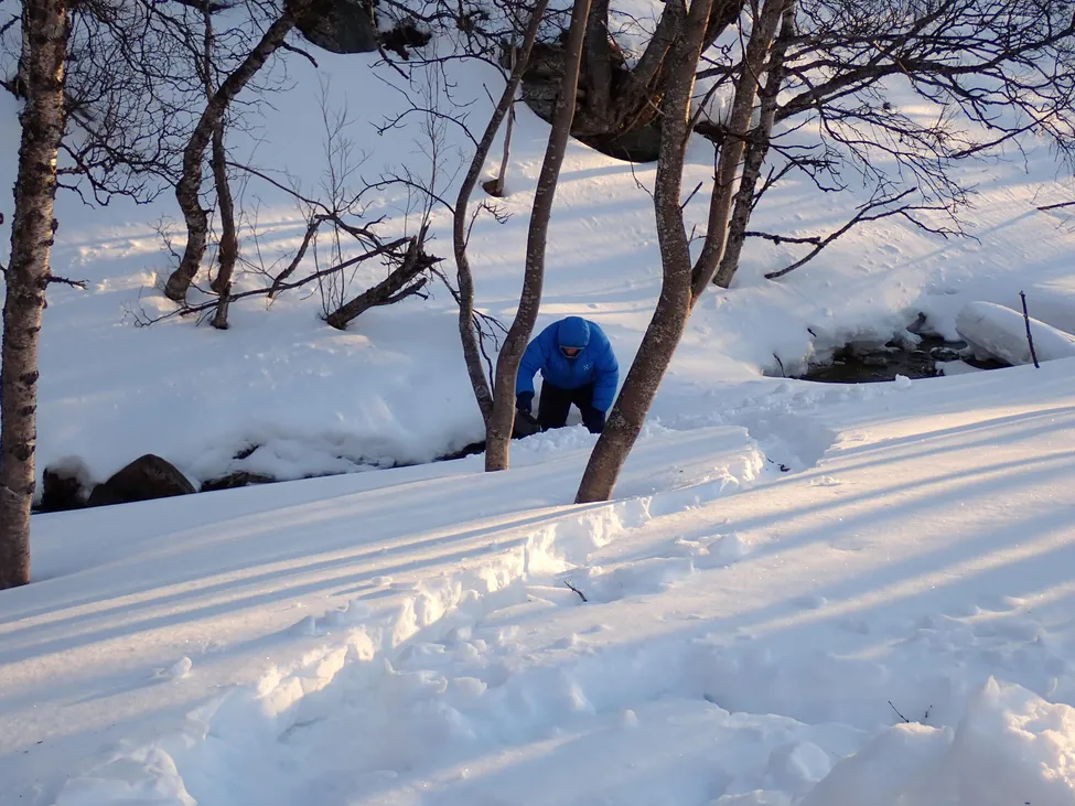 Klicka för att förstora