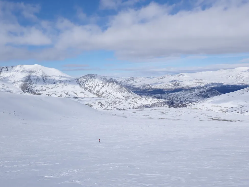 Klicka för att förstora