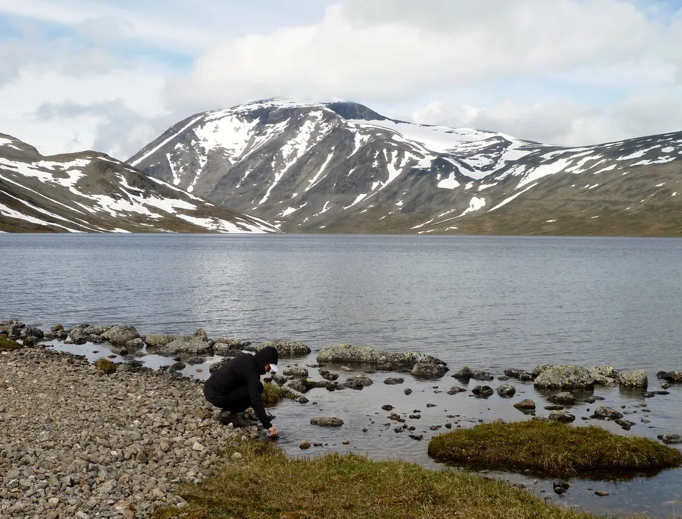 Klicka för att förstora