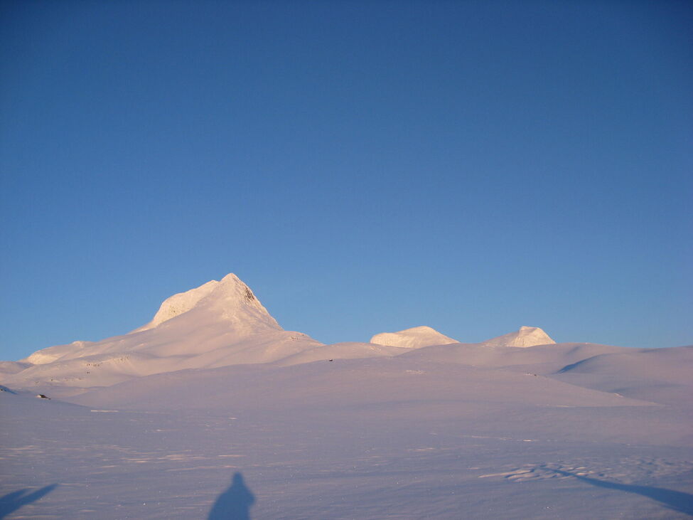 Klicka för att förstora