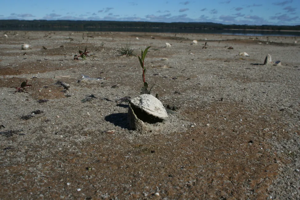 Klicka för att förstora