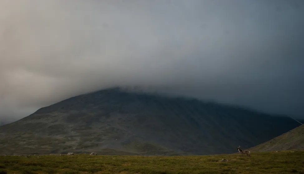 Klicka för att förstora