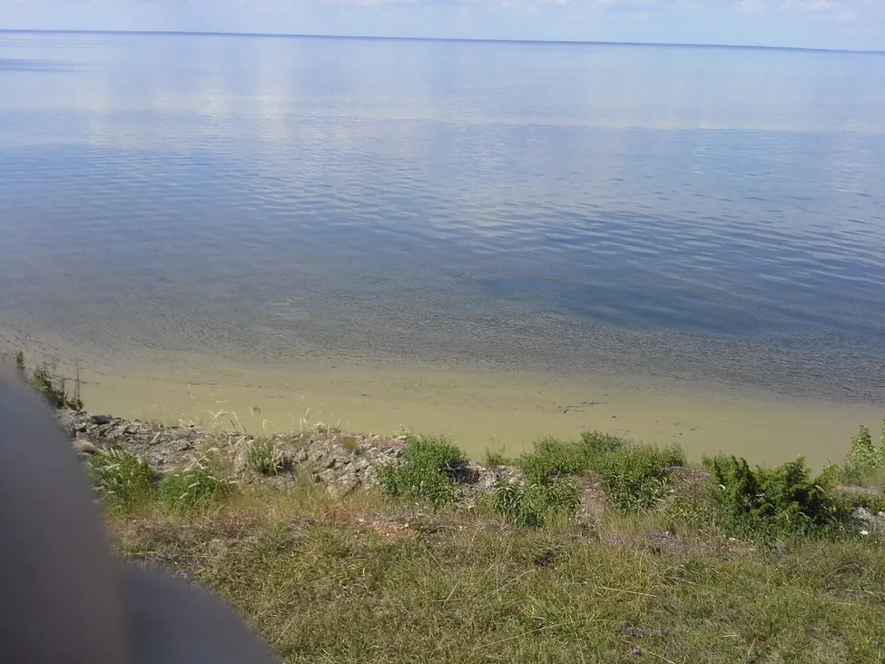 Klicka för att förstora