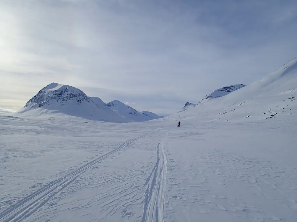Klicka för att förstora