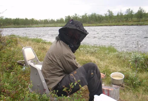 Luftburet är bäst, vacker blomma och falukorv... Kaitumälven - Del 3