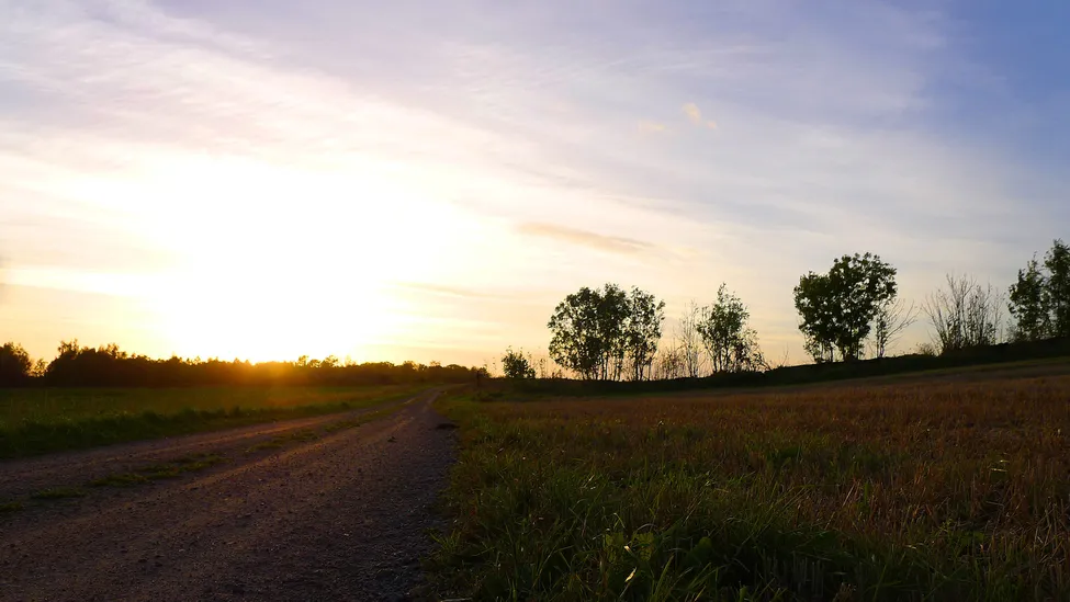 Klicka för att förstora
