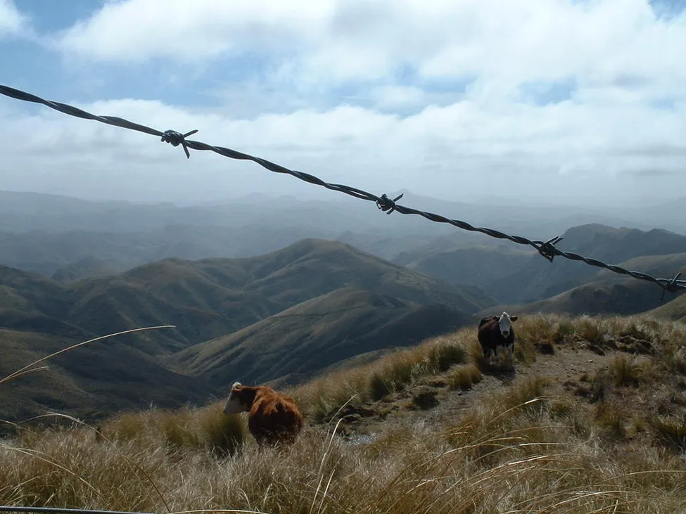 Klicka för att förstora