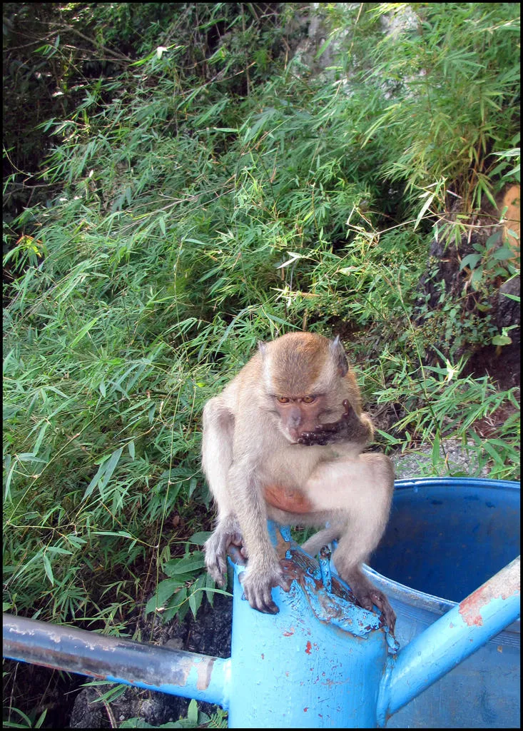 Klicka för att förstora