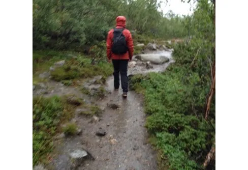 Delivery, by rain and wind