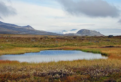 Ett litet inlägg om det fantastiska Sverige