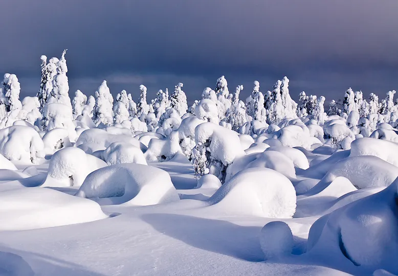 Klicka för att förstora