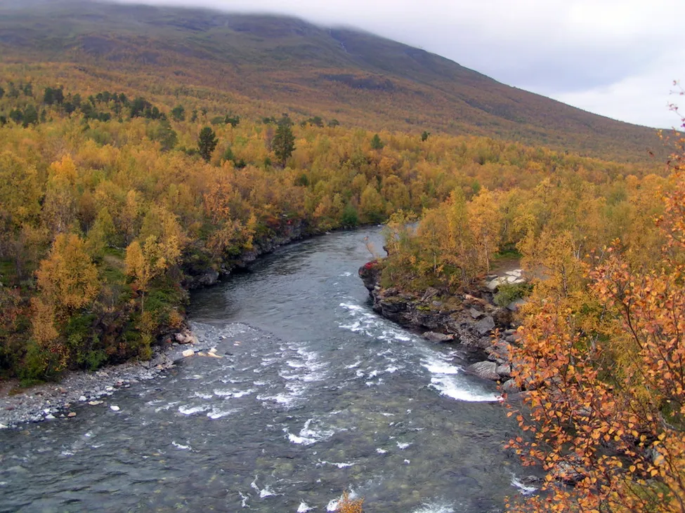 Klicka för att förstora