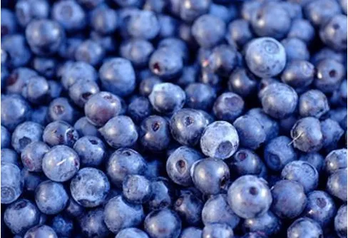 Bakad blåbärsbar