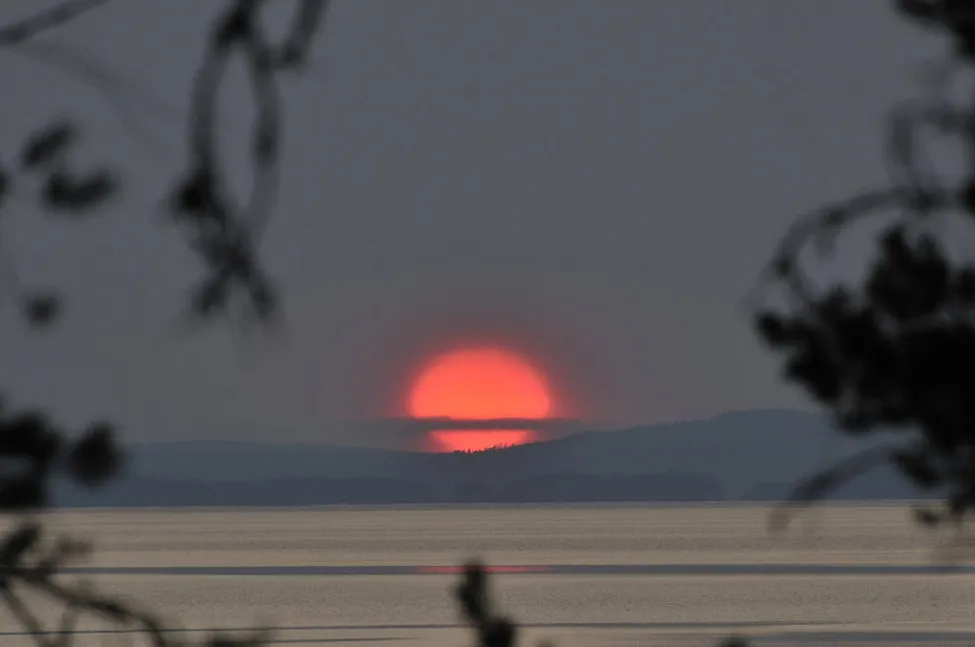 Klicka för att förstora