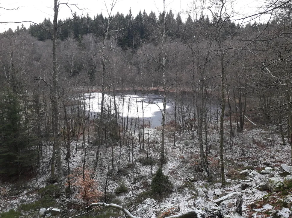 Klicka för att förstora