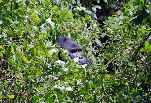Fredrik Eriksson - ett för högt pris att betala?