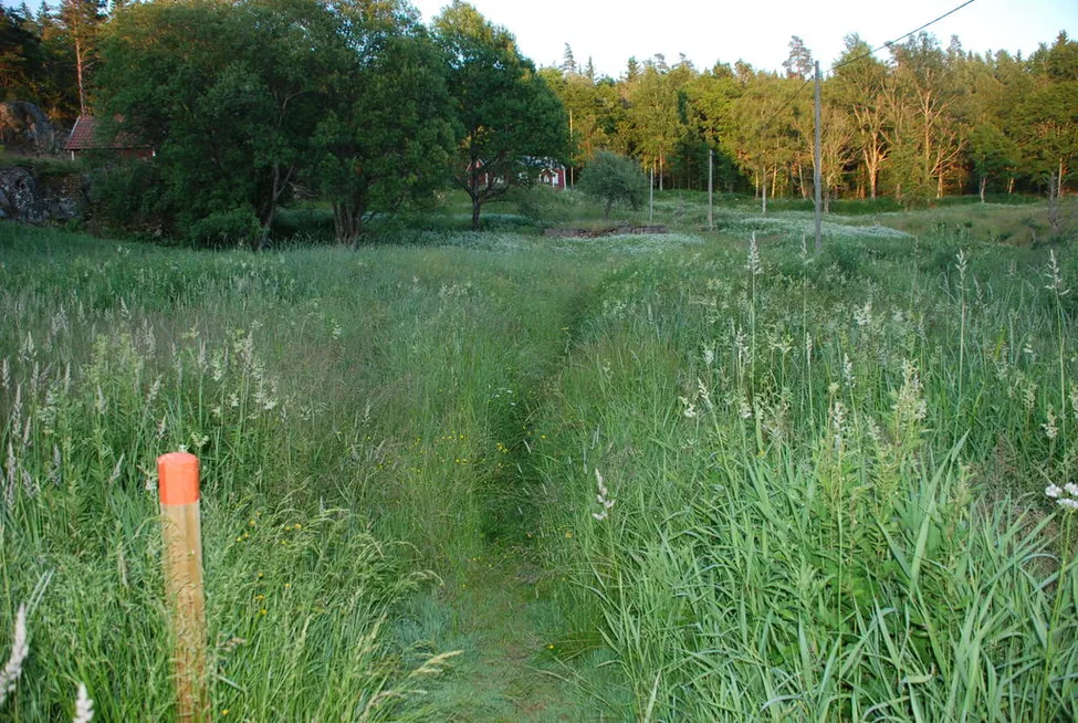 Klicka för att förstora