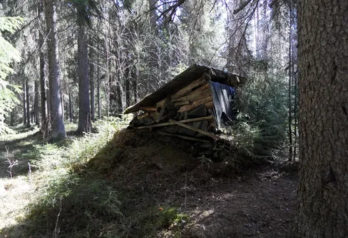 Vandring längs Nittälven 5: Naturstigen norr Uvbergsbron
