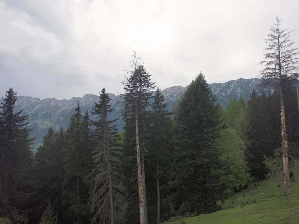 Klicka för att förstora