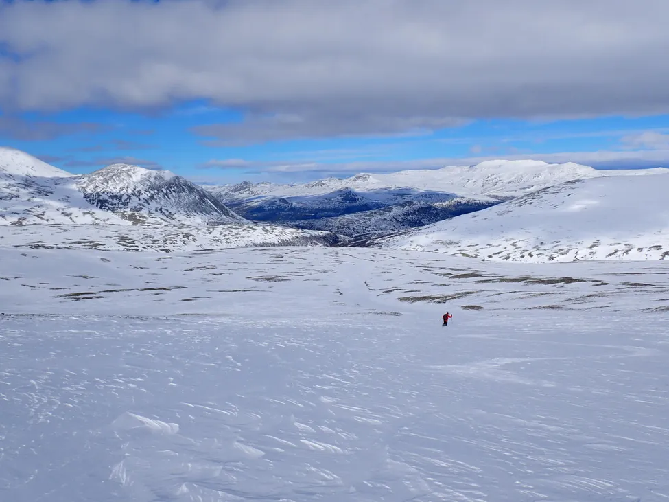 Klicka för att förstora