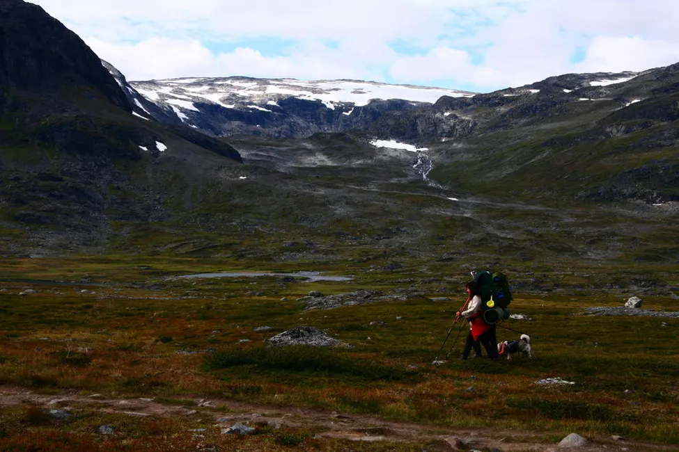 Klicka för att förstora
