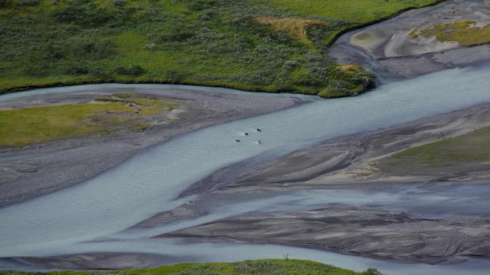 Klicka för att förstora