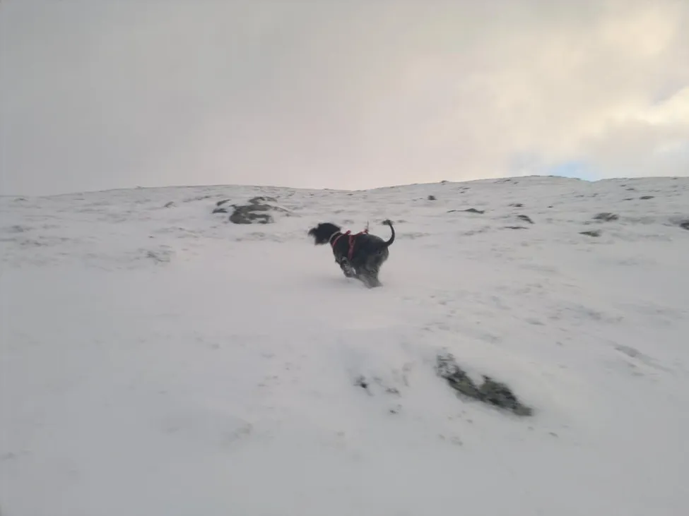 Klicka för att förstora