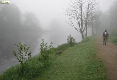 Premiär i Mörrum... underskön natur på Island.