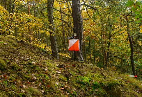 Orienteringskartan - tävlingar och aktiviteter nära användaren