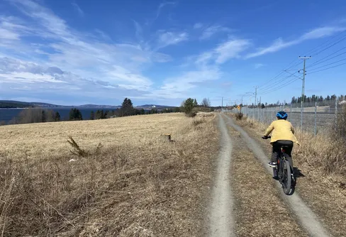 Vårig cykeltur 260418
