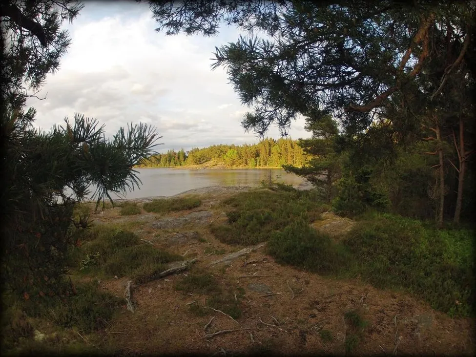 Klicka för att förstora