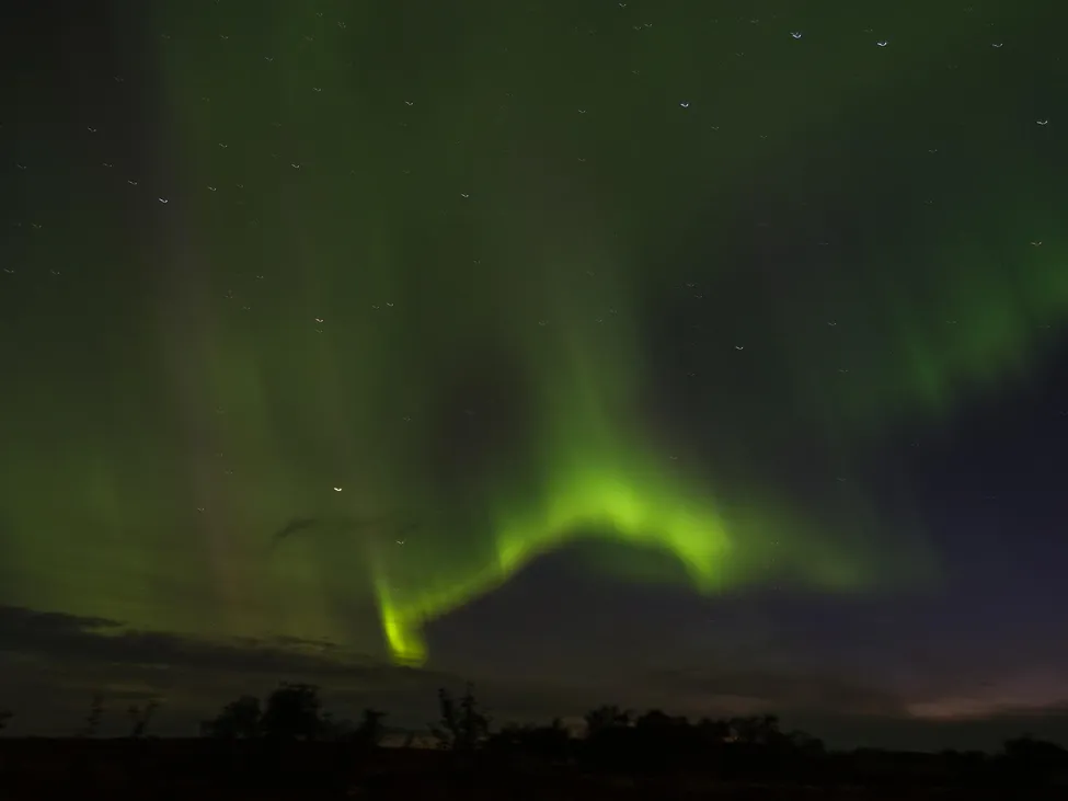 Klicka för att förstora