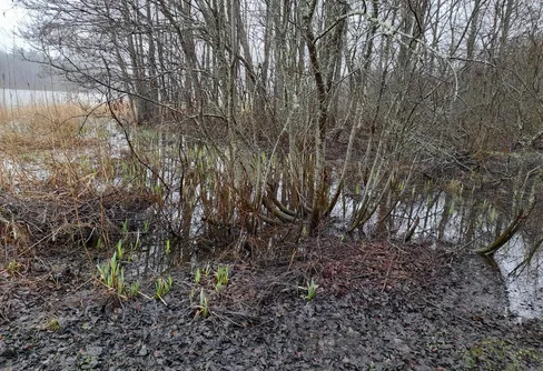 Byträsk, Geta, Åland