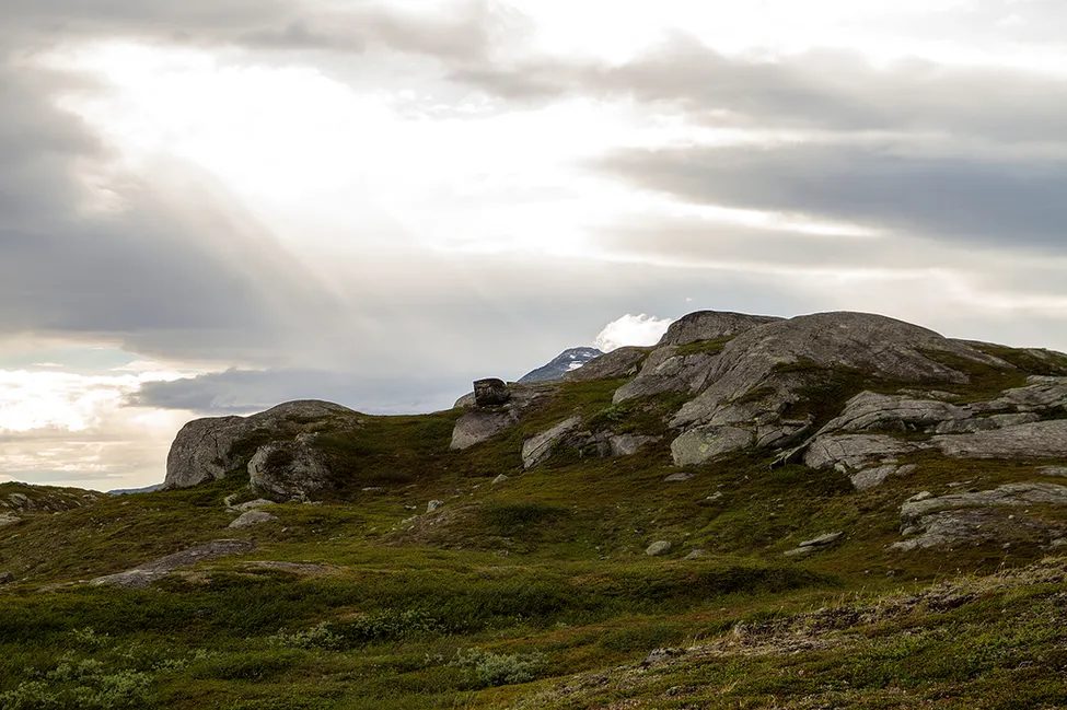 Klicka för att förstora