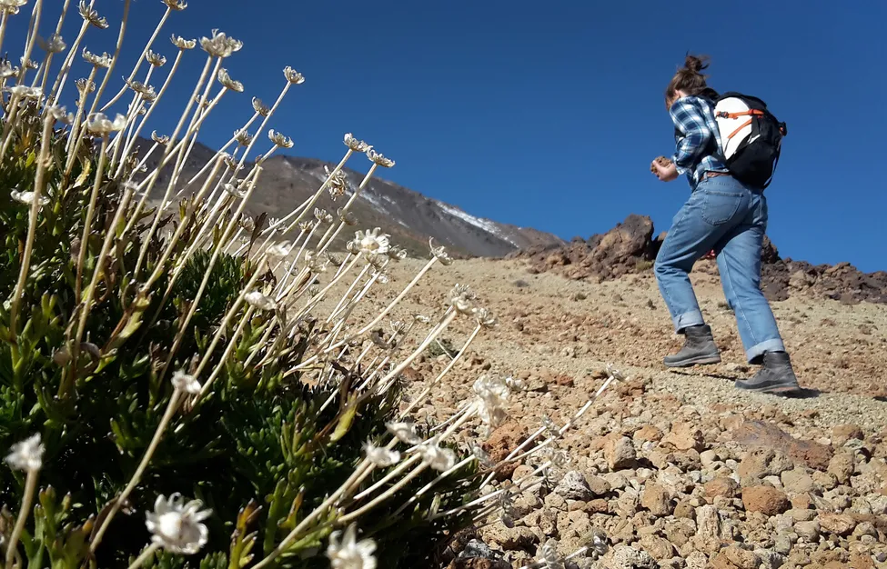 Klicka för att förstora