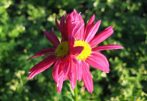 Första blogginlägget någonsin måste vara banalt...