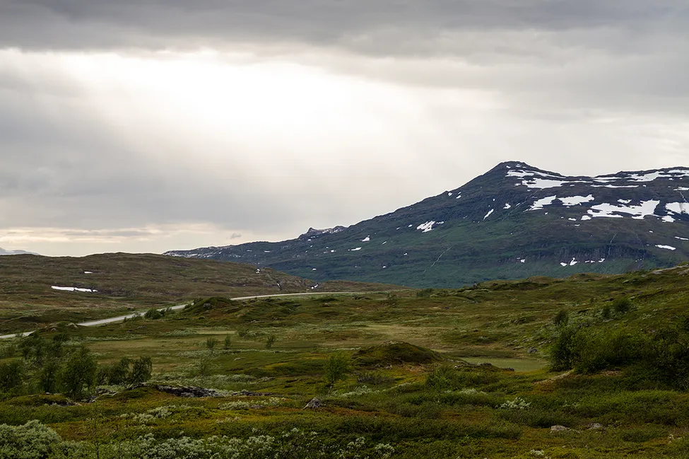 Klicka för att förstora